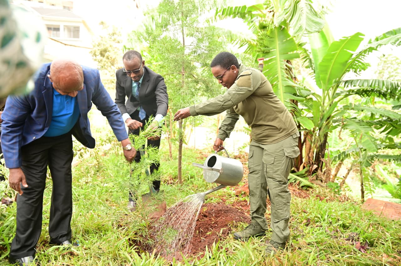 OVER 2,000 TREES PLANTED AT THE MURANG’A GK PRISON AMID RENEWED PUSH FOR RESTORATION OF DEGRADED LAND