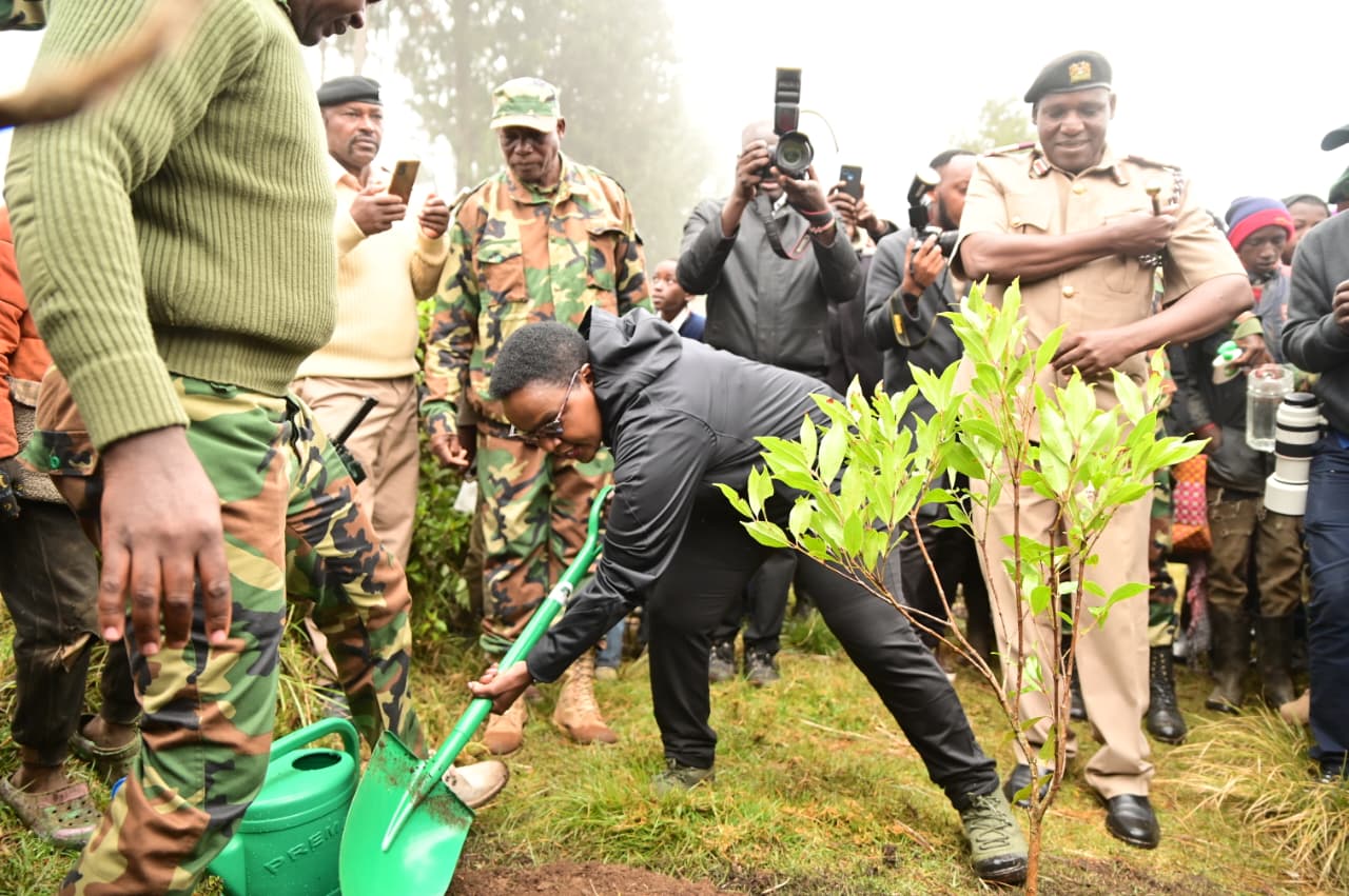 CORRECTIONAL SERVICES PS JOINS ICT CS FOR A FOREST CONSERVATION DRIVE IN LARI 