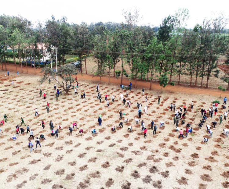 STATE DEPARTMENT FOR CORRECTIONAL SERVICES PLANTS 300,000 TREES AS MAZINGIRA DAY IS MARKED