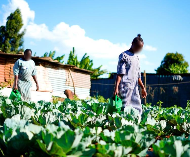REFORMING WOMEN BEHIND BARS THROUGH DIFFERENT REHABILITATION PROGRAMS