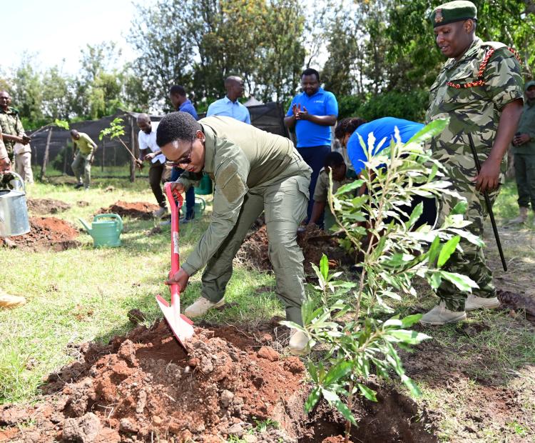STATE DEPARTMENT FOR CORRECTIONAL SERVICES MARK WORLD ENVIRONMENTAL DAY WITH TREE PLANTING DRIVE