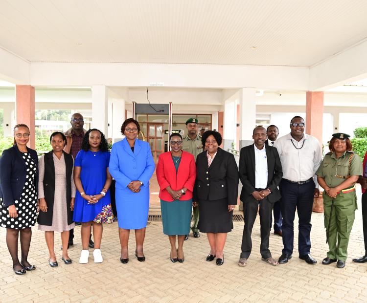 CORRECTIONAL SERVICES PS UNDERSCORES ROLE OF COMMUNITY SERVICE ORDERS