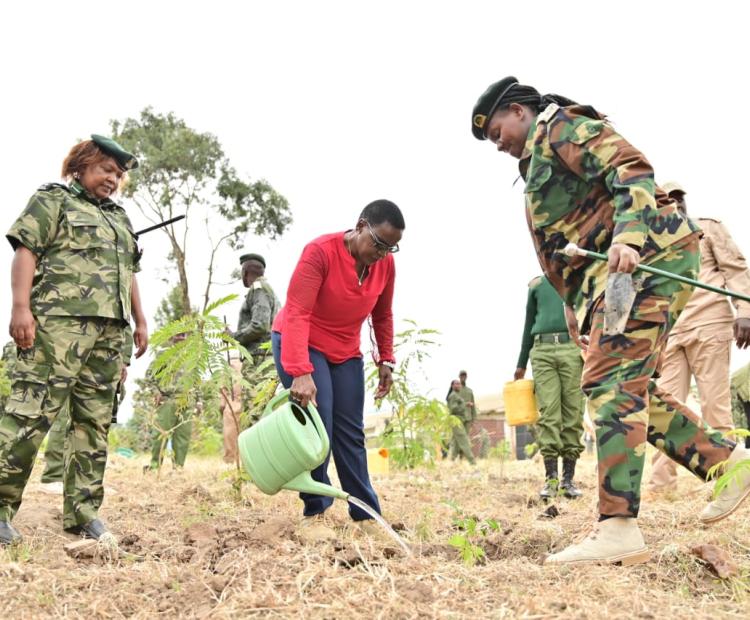 STAFF FROM THE STATE DEPARTMENT PLANT OVER 50,000 SEEDLINGS IN THE MONTHLY TREE PLANTING CAMPAIGN 