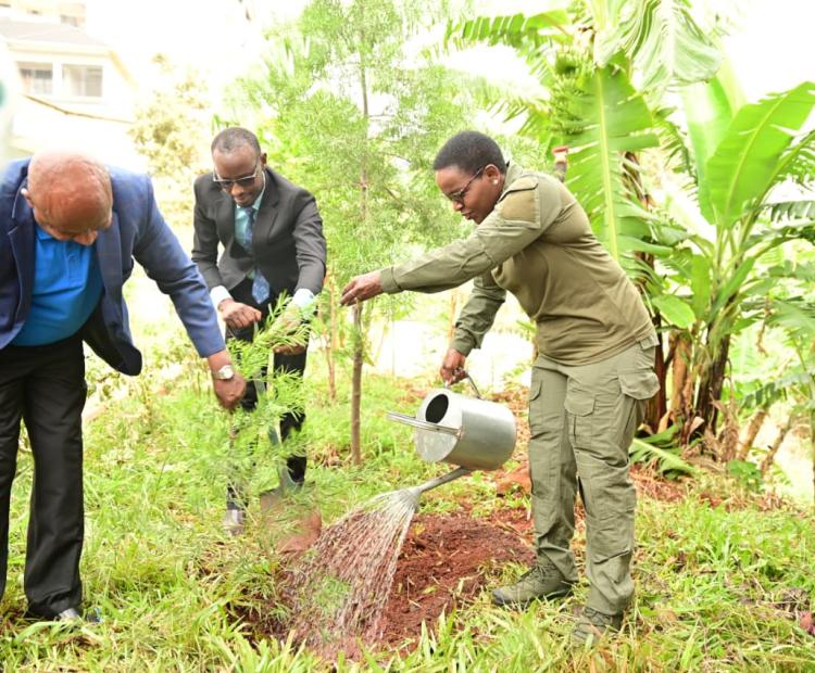 OVER 2,000 TREES PLANTED AT THE MURANG’A GK PRISON AMID RENEWED PUSH FOR RESTORATION OF DEGRADED LAND