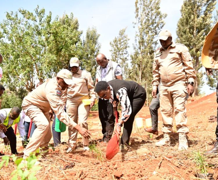 CORRECTIONAL SERVICES PS LEADS STAFF IN PLANTING 5,000 TREES AT NYERI PRISON COMMAND